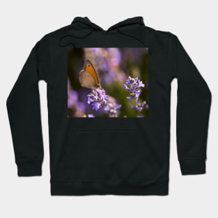 Honeybee on a lavender flower Hoodie